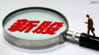 7只新股今日聯袂上市，盛天網絡領銜互聯網游戲服務板塊大漲44%遭臨停